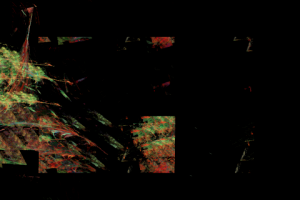 Без названия,