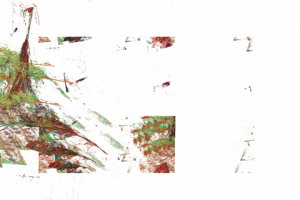 Без названия,