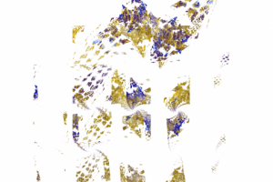 Без названия,