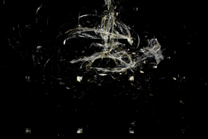 Без названия,