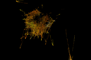 Без названия,