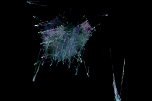 Без названия,