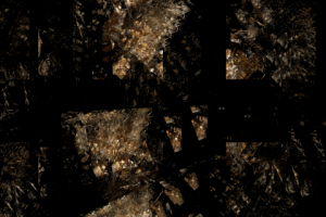 Без названия,