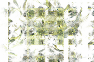 Без названия,