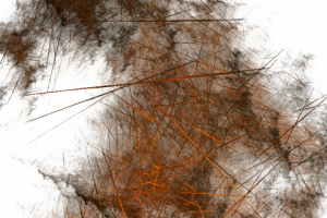 Без названия,