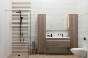 Визуализация санузлов в деревянном доме