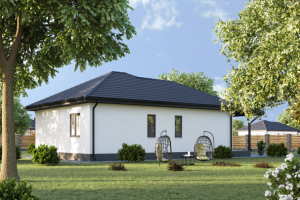 3D визуализация коттеджа для строительной компании