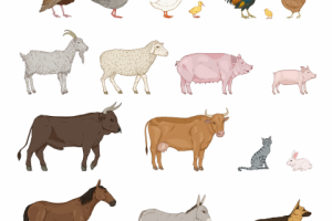 Животные с фермы