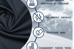 Инфографика