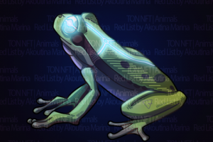 NFT Frog
