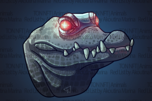 NFT collection / НФТ