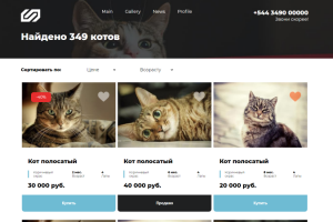 Страниц интернет-магазина