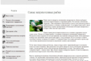 Самые неприхотливые рыбки