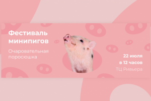 Фестиваль минипигов