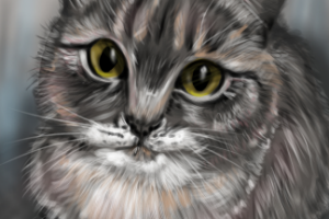 Домашнее животное