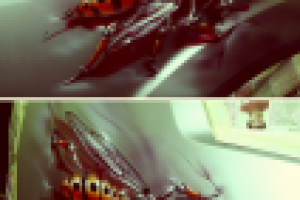 аэрография биомеханика