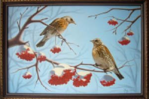 Дрозд-рябинник, х/м