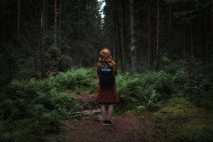 Лесная прогулка