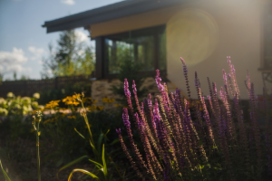 Съемка ландшафтного дизайна