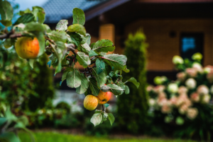 Съемка загородных домов и придомовой территории