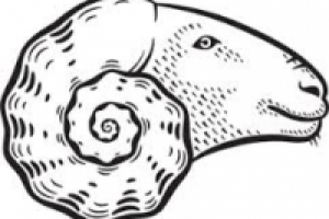 аудио ролик для ресторана.