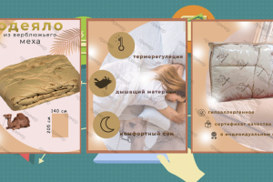 дизайн 3 слайда