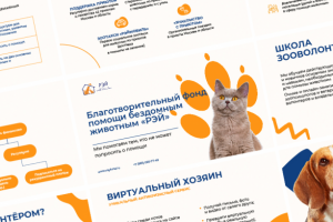 Презентация для Фонда Рэй