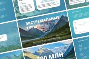 Презентация для инвесторов