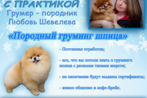 Реклама мастер класса