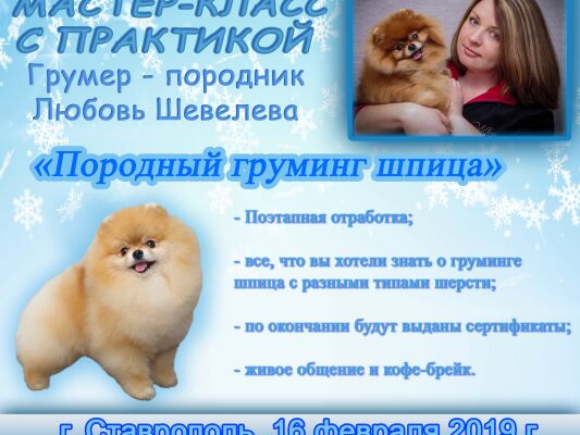 img4340160.png