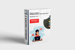 Макет коробки модуля