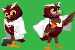 Сова для мед.центра