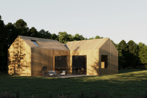 Визуализация дома (работа по референсу)