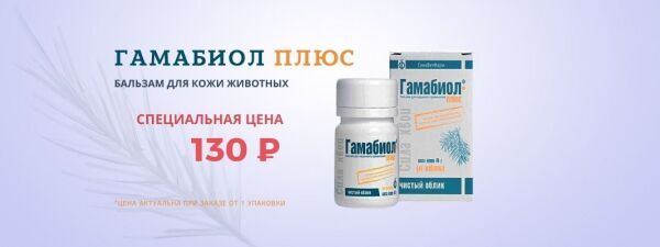 img4330070.png