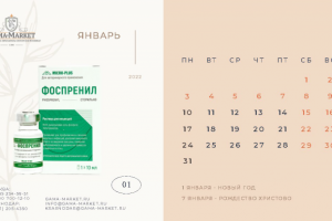 Календарь 2022 год для