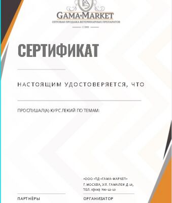 img4216748.png