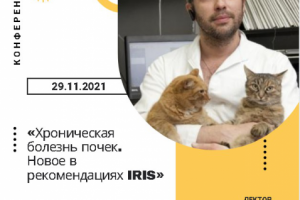 Баннер на сайт