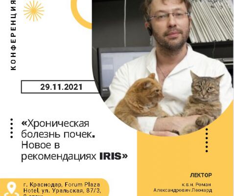 img4216746.png