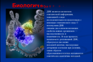 Работа 2122436