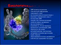 img2122436.png