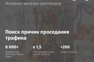 Аудит интернет-магазина зоотоваров ZooShef.ru