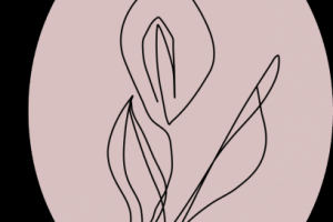 Компания корейской косметики