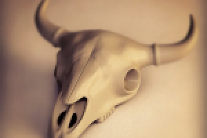 моделинг черепа и виз