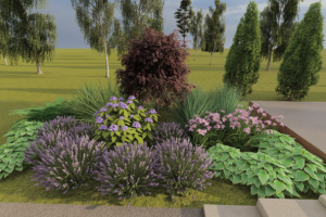 ландшафтный проект. дендроплан.