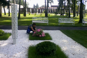 ландшафтный проект. дендроплан.