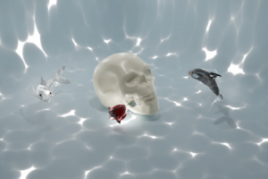 Череп под водой