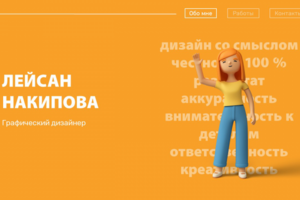 Портфолио
