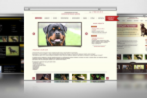 Школа собак