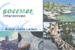 Шаблон для визитки