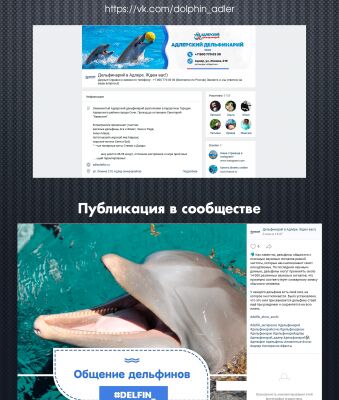 img3691540.png